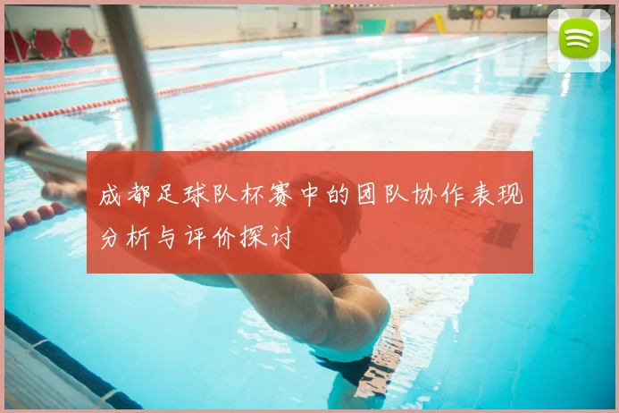成都足球队杯赛中的团队协作表现分析与评价探讨